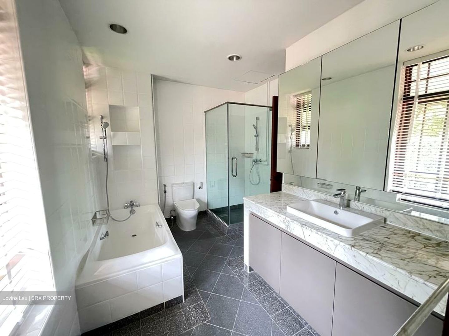 Leedon Road (D10), Detached #455770381